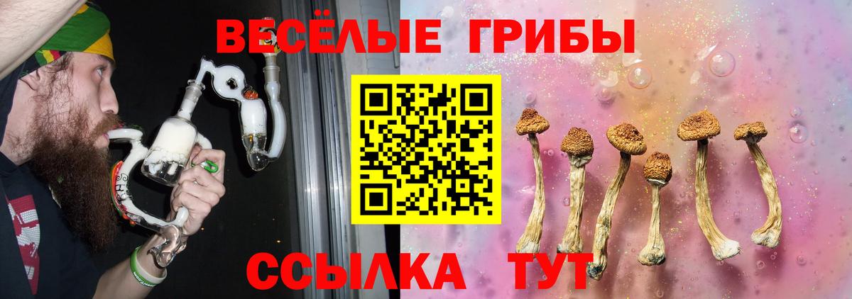 Галлюциногенные грибы MAGIC MUSHROOMS  Вход с VPN  Нурлат  Галлюциногенные грибы Cubensis 